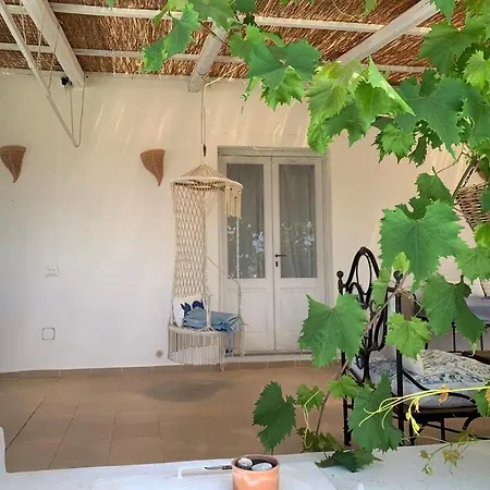Le Ulivo Di Rinella * Leni